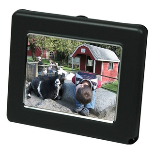 Illustration for article titled Digital Foci Pocket OLED Photo Frames